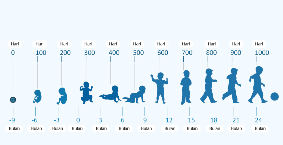 Detail mengenal 1000 hari pertama kehidupan